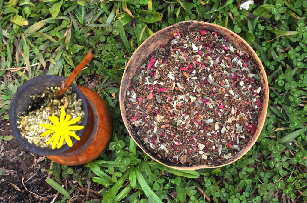 O preparado de tabaco (petym) e o mate (kaayu): medicinas sagradas.
